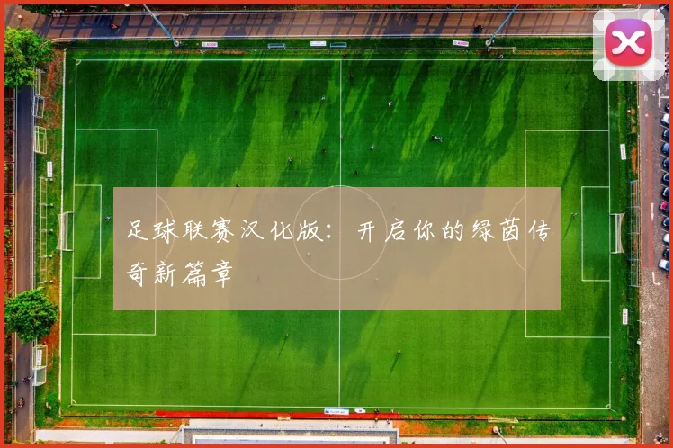 足球联赛汉化版：开启你的绿茵传奇新篇章
