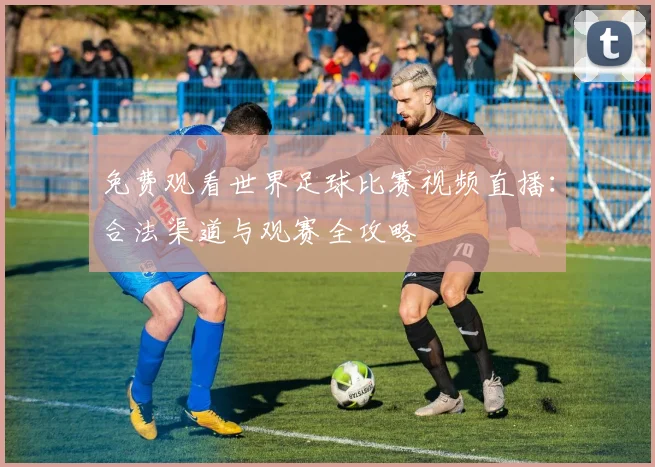 免费观看世界足球比赛视频直播:合法渠道与观赛全攻略