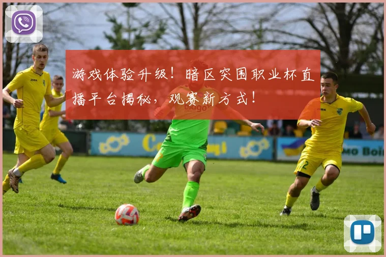 游戏体验升级！暗区突围职业杯直播平台揭秘，观赛新方式！